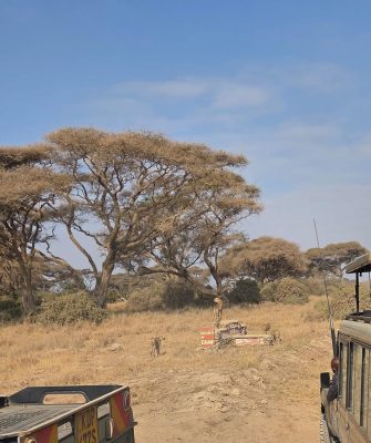 WhatsApp Image 2026-04-08 at 19.03.26