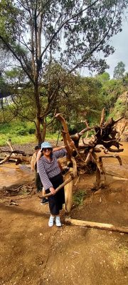 WhatsApp Image 2026-04-10 at 19.07.26