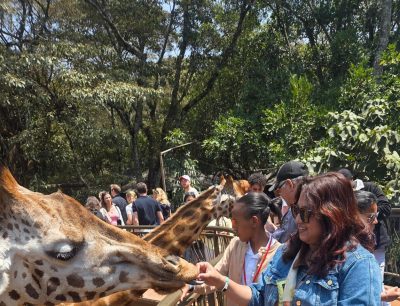 WhatsApp Image 2026-04-08 at 19.06.03