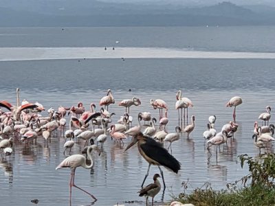 WhatsApp Image 2026-04-08 at 19.06.10