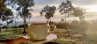 WhatsApp Image 2026-04-10 at 19.07.19