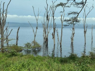 WhatsApp Image 2026-04-10 at 19.08.29