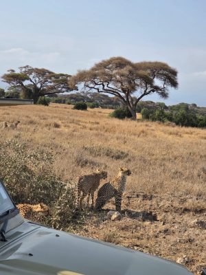 WhatsApp Image 2026-04-08 at 19.03.19