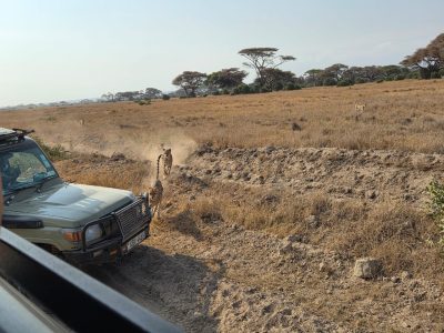 WhatsApp Image 2026-04-08 at 19.03.12