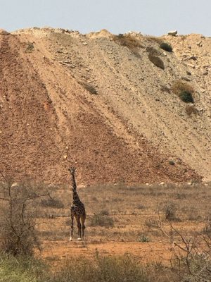 WhatsApp Image 2026-04-10 at 19.08.35(1)