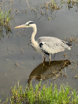 WhatsApp Image 2026-04-10 at 19.08.32