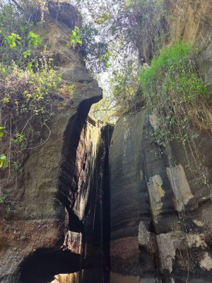 WhatsApp Image 2026-04-08 at 19.06.56