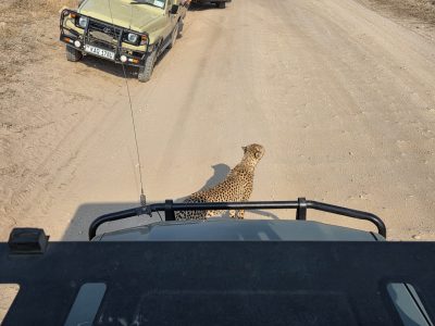 WhatsApp Image 2026-04-08 at 19.03.09