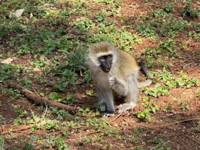 WhatsApp Image 2026-04-10 at 19.08.35(2)