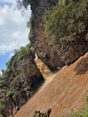 WhatsApp Image 2026-04-08 at 19.05.54(1)