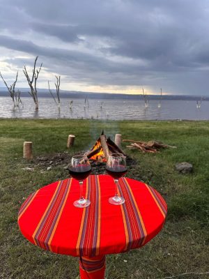 WhatsApp Image 2026-04-08 at 19.06.40