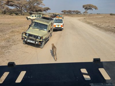 WhatsApp Image 2026-04-08 at 19.03.16