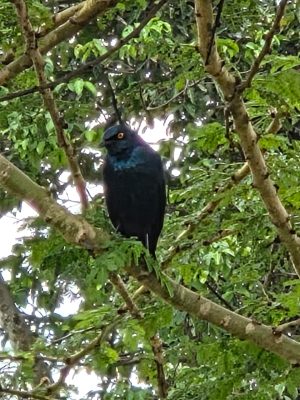 WhatsApp Image 2026-04-08 at 19.05.47