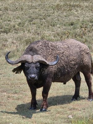 WhatsApp Image 2026-04-08 at 19.05.55