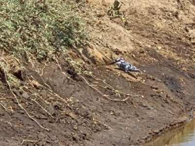 WhatsApp Image 2026-04-08 at 19.03.33