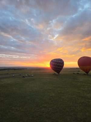 WhatsApp Image 2026-04-08 at 19.06.55