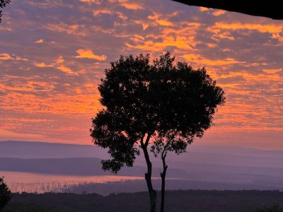 WhatsApp Image 2026-04-10 at 19.07.27