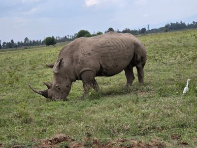 WhatsApp Image 2026-04-08 at 19.05.48(1)