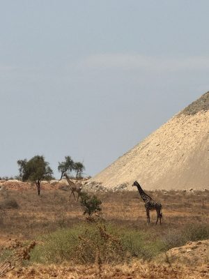 WhatsApp Image 2026-04-10 at 19.08.36(1)