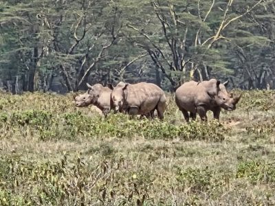 WhatsApp Image 2026-04-08 at 19.05.53