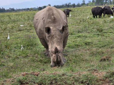 WhatsApp Image 2026-04-08 at 19.05.54