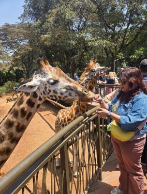 WhatsApp Image 2026-04-08 at 19.02.57