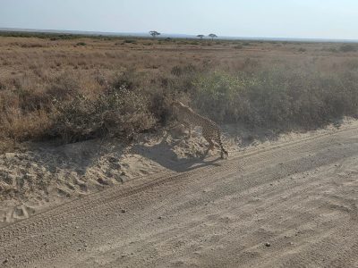 WhatsApp Image 2026-04-08 at 19.03.15